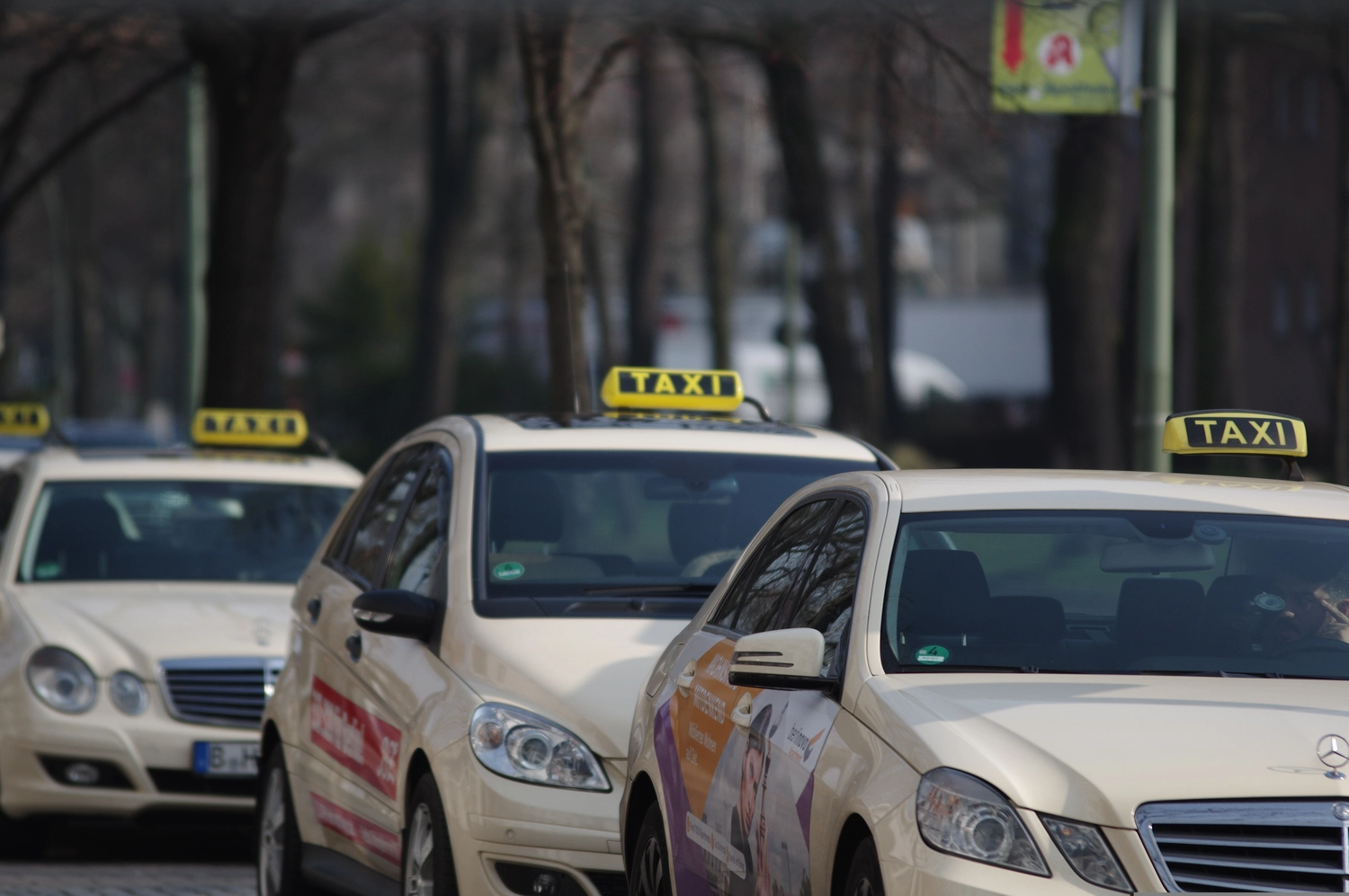 Medisem - Medizinische Seminare - Eine Flotte hellelfenbeinfarbener Taxis mit gelben Dachschildern parkt in einer von Bäumen gesäumten Straße.